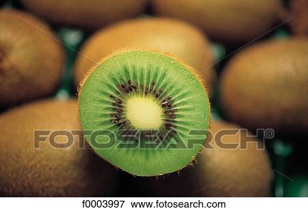 fruit, kiwi, aliment, exotic, fruit, inside View Large Photo Image Stock Photo - fruit, kiwi, aliment, exotic, fruit, inside. Fotosearch