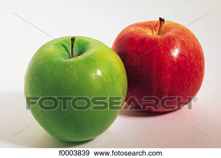 fruit, pip fruit, aliment, apple, green, red, Granny Smith apple View Large Photo Image Stock Photo - fruit, pip fruit, aliment, apple, green, red, Granny Smith apple. Fotosearch