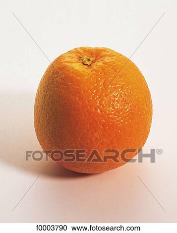 fruit, pip fruit, aliment, citrus fruit, orange, circle View Large Photo Image Stock Image - fruit, pip fruit, aliment, citrus fruit, orange, circle. Fotosearch