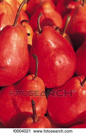 fruit, pip fruit, aliment, pear, red, williams pear View Large Photo Image Stock Image - fruit, pip fruit, aliment, pear, red, williams pear. Fotosearch