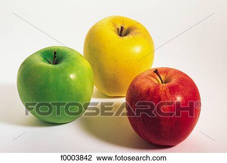 fruit, pip fruit, apple, golden apple, Granny Smith apple, red, green View Large Photo Image Stock Image - fruit, pip fruit, apple, golden apple, Granny Smith apple, red, green. Fotosearch