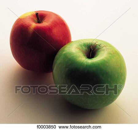fruit, pip fruit, apple, Granny Smith apple, aliment, inside View Large Photo Image Stock Image - fruit, pip fruit, apple, Granny Smith apple, aliment, inside. Fotosearch