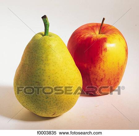 fruit, pip fruit, apple, pear, williams pear, aliment, red View Large Photo Image Stock Photography - fruit, pip fruit, apple, pear, williams pear, aliment, red. Fotosearch
