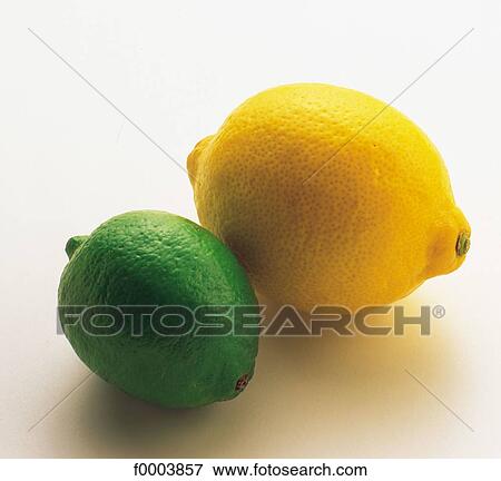 fruit, pip fruit, citrus fruit, lemon, green, yellow, aliment View Large Photo Image Stock Photo - fruit, pip fruit, citrus fruit, lemon, green, yellow, aliment. Fotosearch