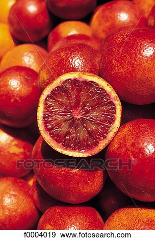 fruit, pip fruit, citrus fruit, aliment, orange, blood orange, red View Large Photo Image Stock Photo - fruit, pip fruit, citrus fruit, aliment, orange, blood orange, red. Fotosearch