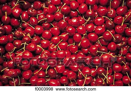 fruit, stone fruit, berry currant, aliment, red, cherry View Large Photo Image Stock Photo - fruit, stone fruit, berry currant, aliment, red, cherry. Fotosearch
