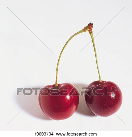 fruit, stone fruit, cherry, aliment, red, inside View Large Photo Image Picture - fruit, stone fruit, cherry, aliment, red, inside. Fotosearch