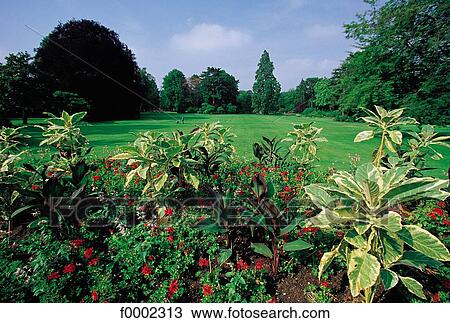 garden, vegetation, Europe, Ile de France, Paris, France, French View Large Photo Image Stock Image - garden, vegetation, Europe, Ile de France, Paris, France, French. Fotosearch