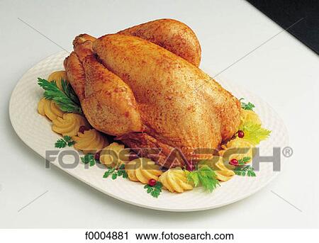 gastronomy, food, cooked dish, fowl, chicken, roast chicken View Large Photo Image Stock Image - gastronomy, food, cooked dish, fowl, chicken, roast chicken. Fotosearch