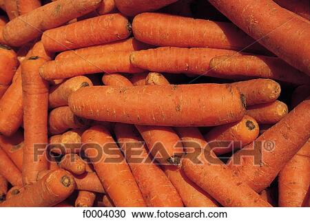 gastronomy, root, indoors, inside, carrot, aliment View Large Photo Image Stock Image - gastronomy, root, indoors, inside, carrot, aliment. Fotosearch