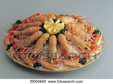 gastronomy, shellfish, indoors, inside, Dublin bay prawn, aliment View Large Photo Image Stock Photo - gastronomy, shellfish, indoors, inside, Dublin bay prawn, aliment. Fotosearch