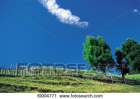 Stock Image - grass, lawn, countryside, country, rural, tree, trees. Fotosearch