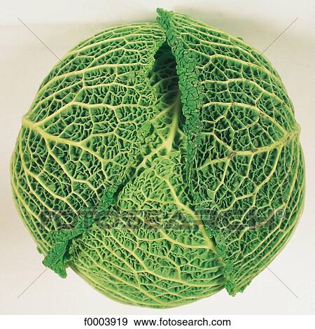 green, vegetable, leaves, leaf, cabbage, aliment View Large Photo Image Stock Photo - green, vegetable, leaves, leaf, cabbage, aliment. Fotosearch