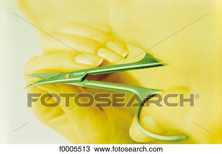 hand, hands, beauty, cutting, nail, manucure, scissor View Large Photo Image Stock Image - hand, hands, beauty, cutting, nail, manucure, scissor. Fotosearch