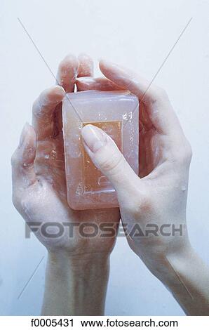 hand, hands, hygiene, cleanliness, cleanness, soap, clean View Large Photo Image Stock Image - hand, hands, hygiene, cleanliness, cleanness, soap, clean. Fotosearch