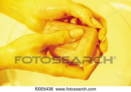hand, hands, hygiene, cleanliness, cleanness, soap, clean View Large Photo Image Stock Photograph - hand, hands, hygiene, cleanliness, cleanness, soap, clean. Fotosearch