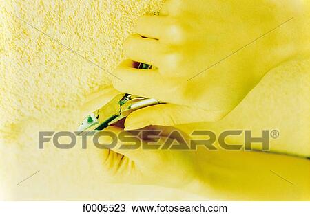hand, hands, manucure, beauty, nail, cutting, nail clippers View Large Photo Image Stock Image - hand, hands, manucure, beauty, nail, cutting, nail clippers. Fotosearch