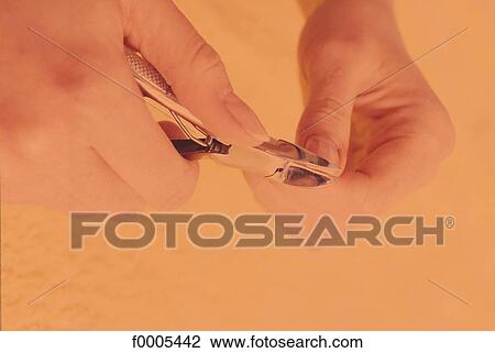hand, hands, nail, beauty, cutting, manucure, nail clippers View Large Photo Image Stock Image - hand, hands, nail, beauty, cutting, manucure, nail clippers. Fotosearch