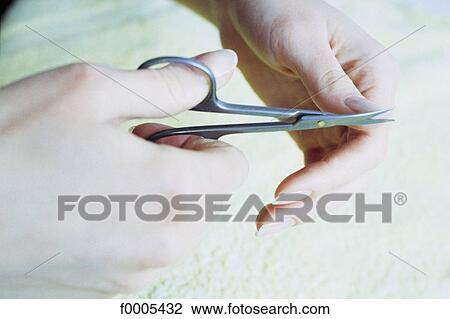 hand, hands, nail, beauty, scissor, cutting, manucure View Large Photo Image Stock Image - hand, hands, nail, beauty, scissor, cutting, manucure. Fotosearch
