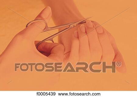 hand, hands, nail, beauty, scissor, cutting, manucure View Large Photo Image Stock Photo - hand, hands, nail, beauty, scissor, cutting, manucure. Fotosearch