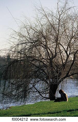 Stock Image - Haute Garonne, Toulouse, river, tree, trees, river, landscape. Fotosearch