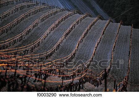 hoar frost, frost, landscape, landscapes, scene, scenery, scenes View Large Photo Image Stock Image - hoar frost, frost, landscape, landscapes, scene, scenery, scenes. Fotosearch