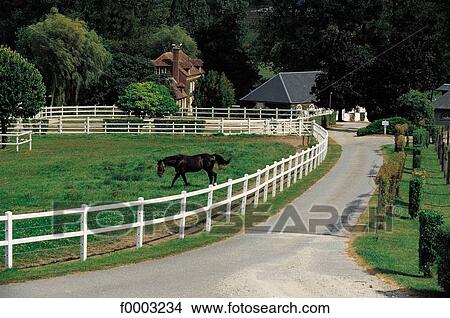 horse, animal, animals, landscape, landscapes, scene, scenery View Large Photo Image Picture - horse, animal, animals, landscape, landscapes, scene, scenery. Fotosearch
