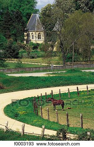 horse, chapel, animal, animals, ruminant, mammal View Large Photo Image Stock Image - horse, chapel, animal, animals, ruminant, mammal. Fotosearch