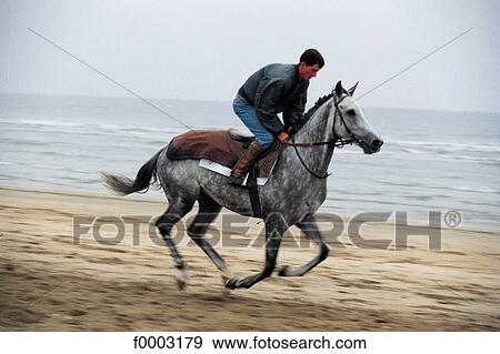 Stock Photo - horse, rider, beach, beaches, sea, sand, leisure. Fotosearch