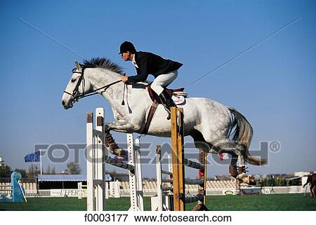 Stock Photo - horse, rider, horse show, animal, animals, ruminant, mammal. Fotosearch