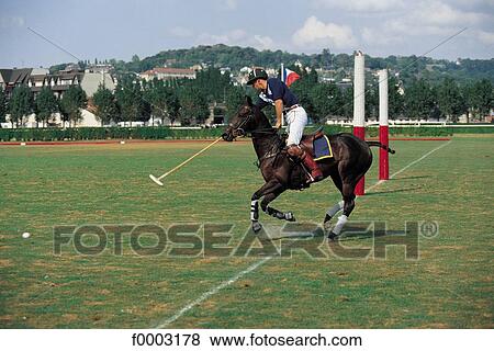horse, rider, polo, animal, animals, leisure, ruminant View Large Photo Image Stock Photo - horse, rider, polo, animal, animals, leisure, ruminant. Fotosearch