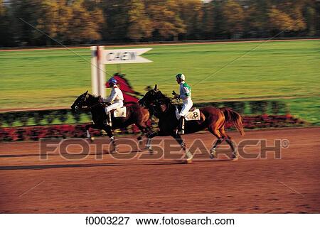 Stock Photo - horse show, horse, rider, racecourse, animal, animals, sport. Fotosearch
