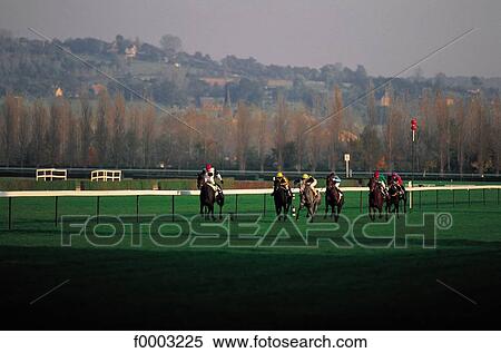 horse show, horse, rider, racecourse, animal, animals, sport View Large Photo Image Stock Photography - horse show, horse, rider, racecourse, animal, animals, sport. Fotosearch