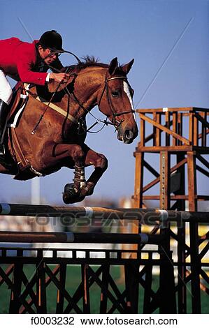 Stock Image - horse show, obstacle, horse, rider, jump, jumping, sport. Fotosearch