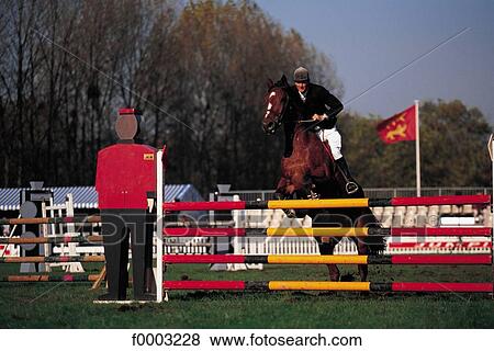 horse show, racecourse, jump, jumping, obstacle, horse, rider View Large Photo Image Stock Photo - horse show, racecourse, jump, jumping, obstacle, horse, rider. Fotosearch