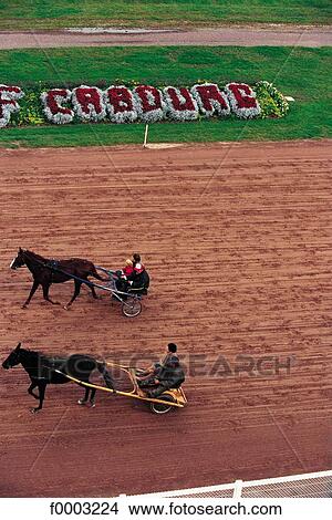 horse show, trot, horse, rider, racecourse, animal, animals View Large Photo Image Picture - horse show, trot, horse, rider, racecourse, animal, animals. Fotosearch