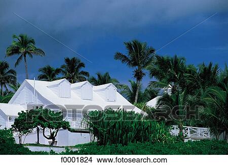 house, Bahamas, French West Indies, Harbour Island, palm tree, exterior View Large Photo Image Picture - house, Bahamas, French West Indies, Harbour Island, palm tree, exterior. Fotosearch
