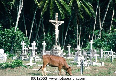 Stock Image - India, Sri Lanka, Colombo, travel, travel horizontal, exterior, open air. Fotosearch