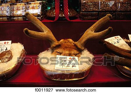 indoors, China, travel inside, travel, Hong Kong, Asia View Large Photo Image Stock Photo - indoors, China, travel inside, travel, Hong Kong, Asia. Fotosearch