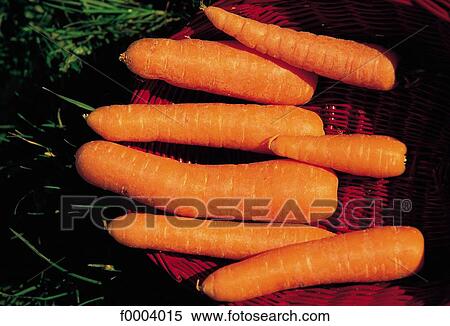 indoors, vegetable, inside, carrot, root, aliment View Large Photo Image Stock Photography - indoors, vegetable, inside, carrot, root, aliment. Fotosearch