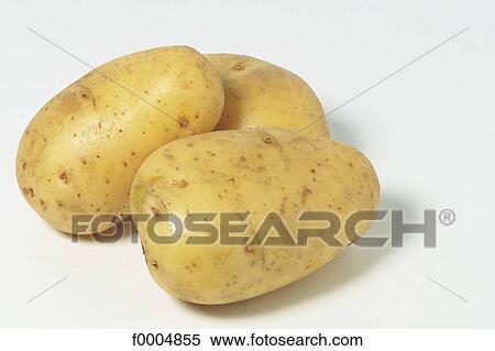 indoors, vegetable, inside, potato, root, aliment View Large Photo Image Stock Photography - indoors, vegetable, inside, potato, root, aliment. Fotosearch