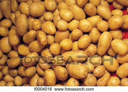 indoors, vegetable, inside, tuber, potato, aliment View Large Photo Image Stock Photograph - indoors, vegetable, inside, tuber, potato, aliment. Fotosearch
