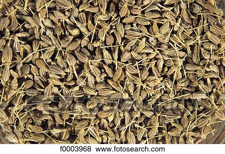 inside, aromatic, anise, aromatic, green anise, aliment View Large Photo Image Stock Photo - inside, aromatic, anise, aromatic, green anise, aliment. Fotosearch