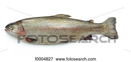 Stock Photo - inside, fish, trout, sea fish, grey, aliment. Fotosearch