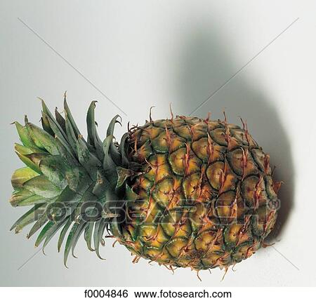 inside, fruit, pineapple, fruit, exotic, aliment View Large Photo Image Stock Photograph - inside, fruit, pineapple, fruit, exotic, aliment. Fotosearch