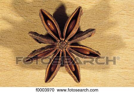 inside, star anise, brown, star, aliment, aromatic View Large Photo Image Stock Image - inside, star anise, brown, star, aliment, aromatic. Fotosearch