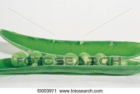 Stock Image - inside, vegetable, husk, green, green pea, aliment. Fotosearch