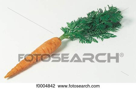 inside, vegetable, leaves, leaf, root, aliment View Large Photo Image Stock Image - inside, vegetable, leaves, leaf, root, aliment. Fotosearch