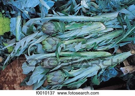 Stock Photo - Italy, Sicily, Europe, exterior, open air, travel, travel aliment. Fotosearch