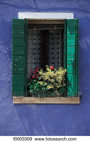 Stock Photo - Italy, traditional dwelling, flower, window, front, shutter, flora. Fotosearch